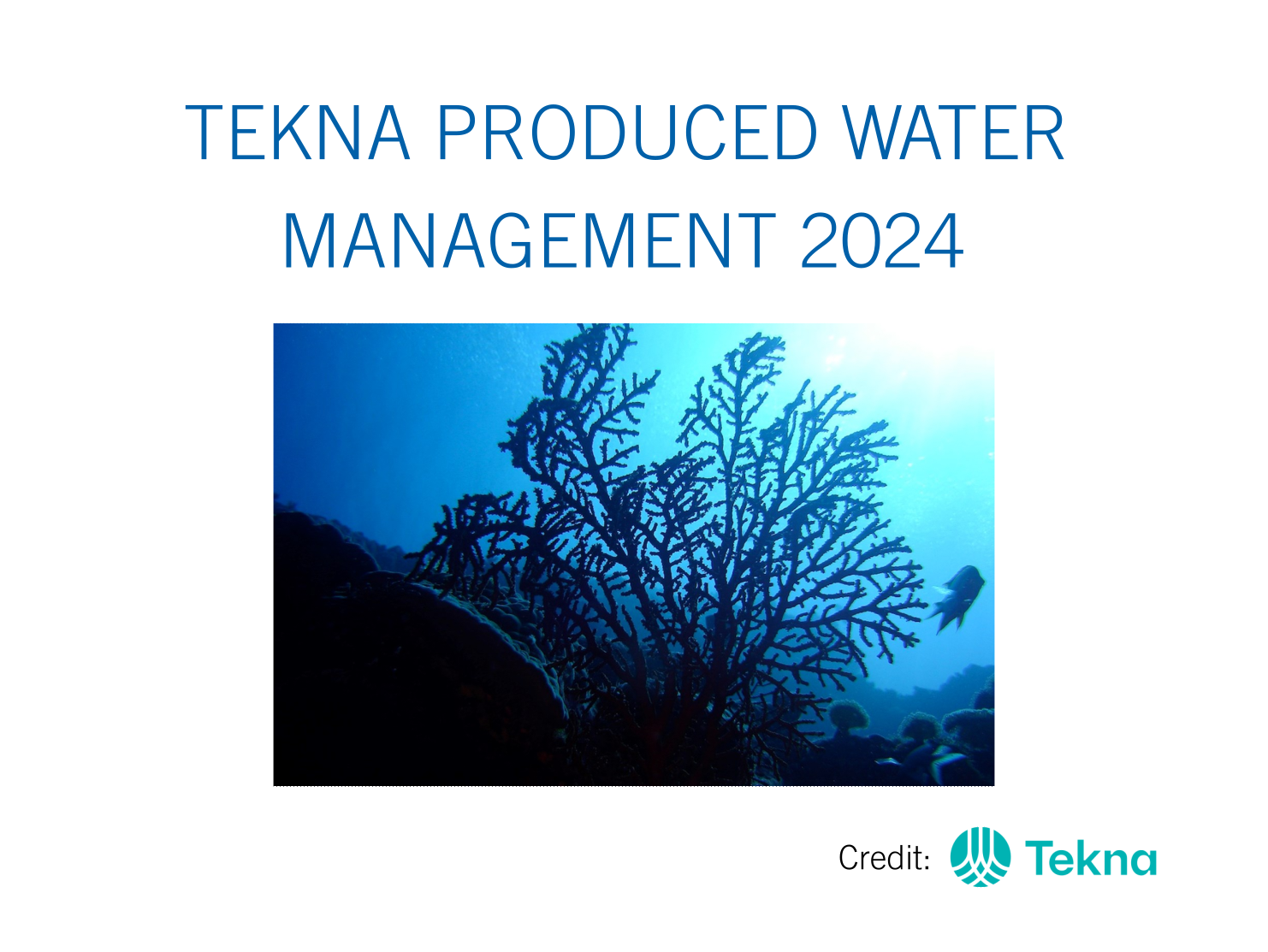 TEKNA PRODUCED WATER MANAGEMENT 2024 Typhonix Cleaner Production   G321 